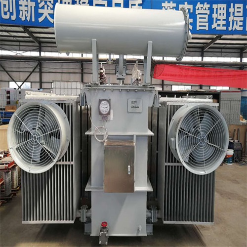 苍溪10KV油浸式变压器
